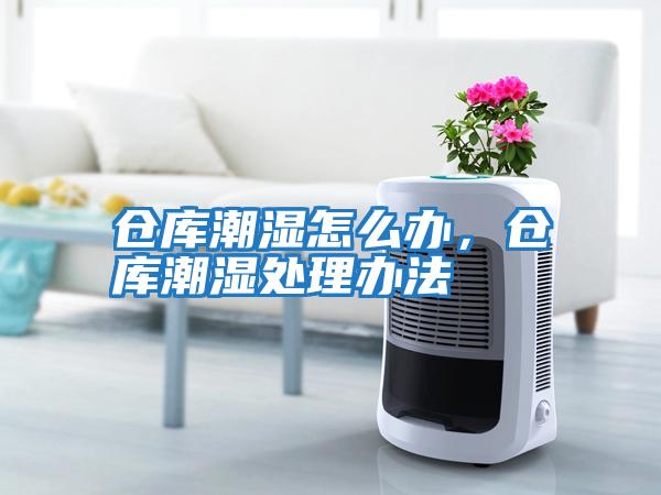 倉庫潮濕怎么辦，倉庫潮濕處理辦法