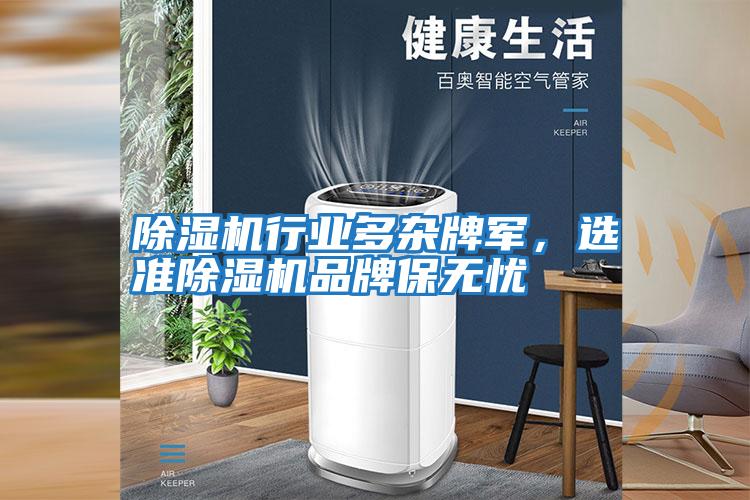 除濕機(jī)行業(yè)多雜牌軍，選準(zhǔn)除濕機(jī)品牌保無(wú)憂