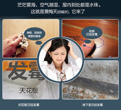 轉輪除濕機與一般除濕機相比有何不同？
