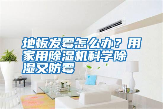 地板發霉怎么辦？用家用除濕機科學除濕又防霉