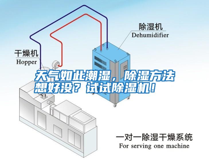 天氣如此潮濕，除濕方法想好沒(méi)？試試除濕機(jī)！