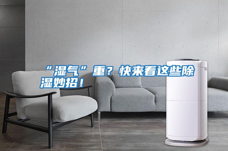 “濕氣”重？快來看這些除濕妙招！