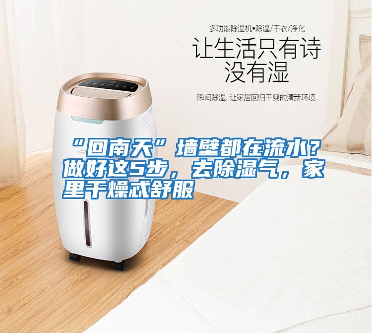 “回南天”墻壁都在流水？做好這5步，去除濕氣，家里干燥忒舒服