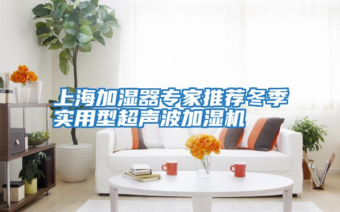 上海加濕器專家推薦冬季實(shí)用型超聲波加濕機(jī)