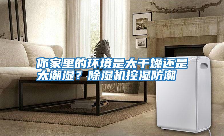 你家里的環(huán)境是太干燥還是太潮濕？除濕機(jī)控濕防潮