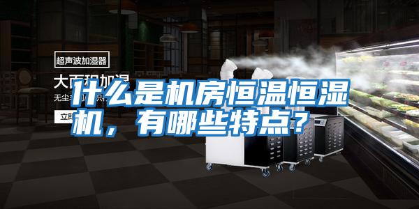 什么是機房恒溫恒濕機,有哪些特點?