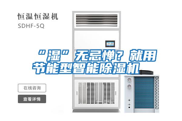 “濕”無忌憚？就用節能型智能除濕機