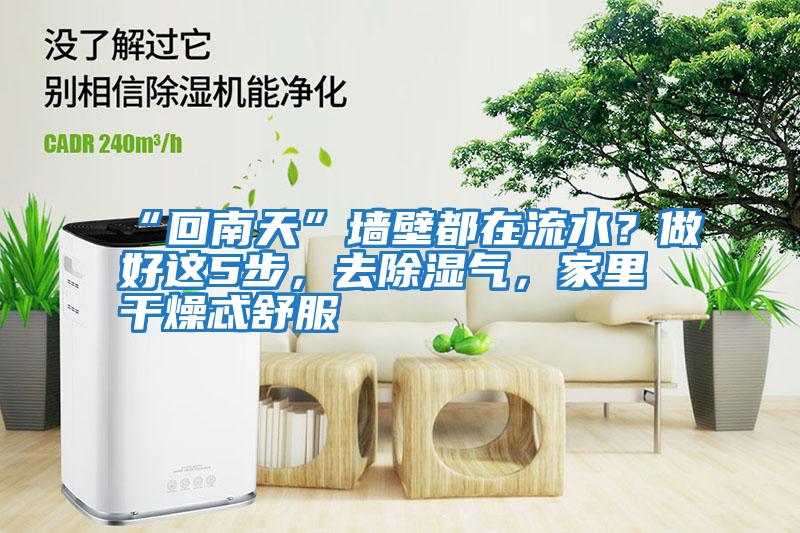 “回南天”墻壁都在流水？做好這5步，去除濕氣，家里干燥忒舒服