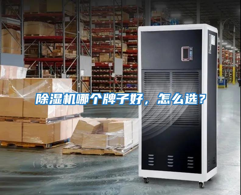 除濕機哪個牌子好，怎么選？