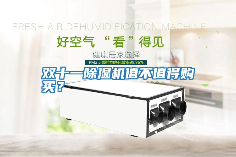 雙十一除濕機(jī)值不值得購(gòu)買？