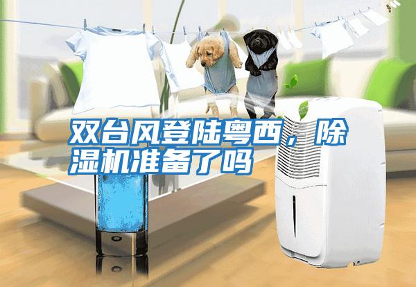 雙臺(tái)風(fēng)登陸粵西，除濕機(jī)準(zhǔn)備了嗎
