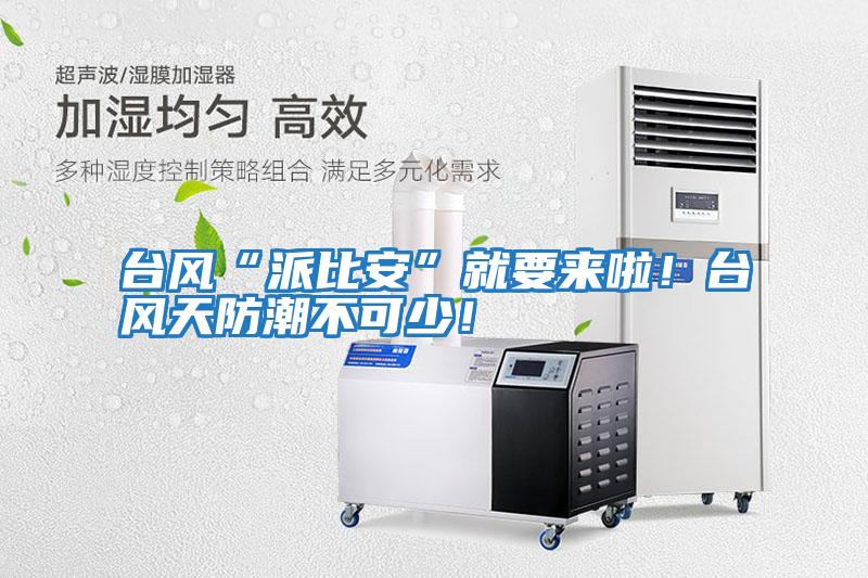 臺(tái)風(fēng)“派比安”就要來啦！臺(tái)風(fēng)天防潮不可少！