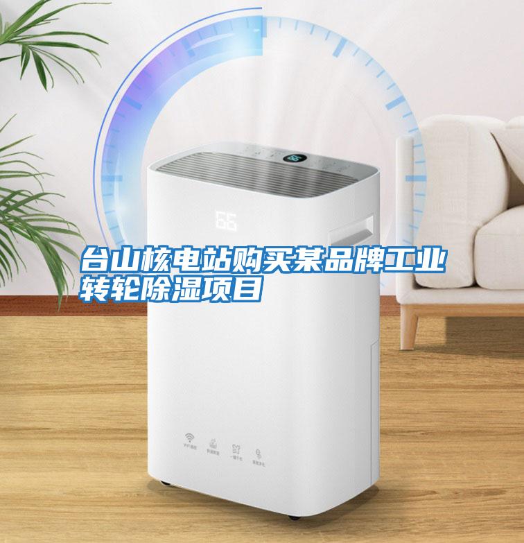 臺(tái)山核電站購買某品牌工業(yè)轉(zhuǎn)輪除濕項(xiàng)目