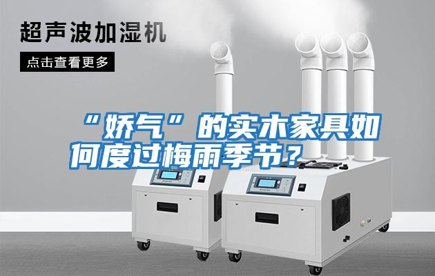 “嬌氣”的實木家具如何度過梅雨季節？