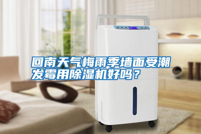 回南天氣梅雨季墻面受潮發霉用除濕機好嗎？