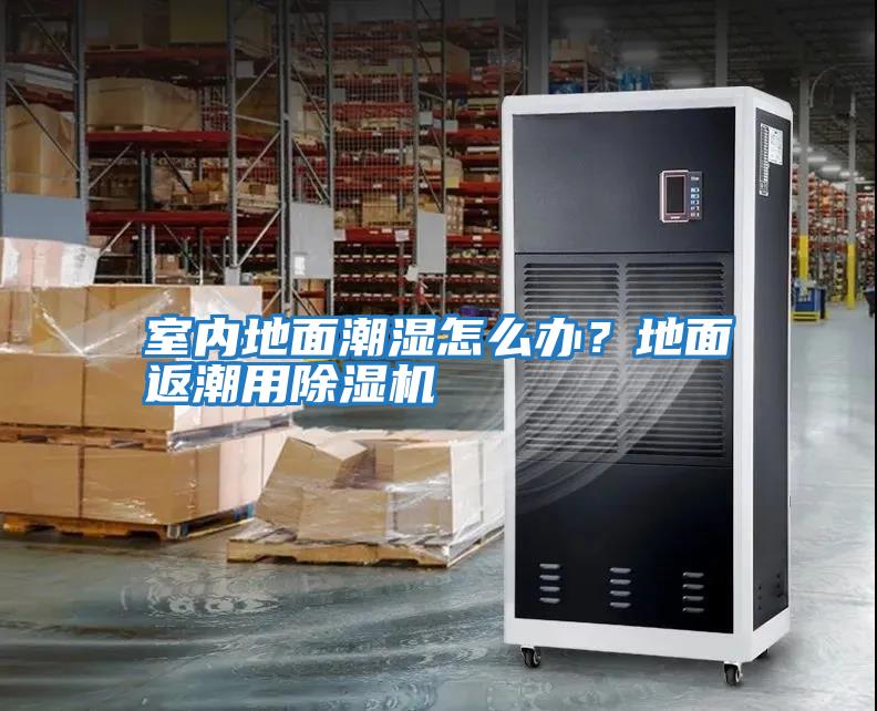 室內(nèi)地面潮濕怎么辦？地面返潮用除濕機
