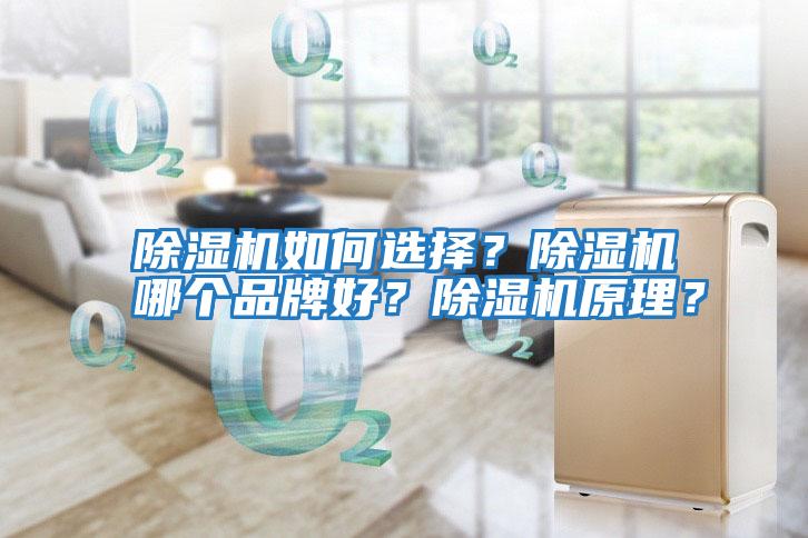 除濕機如何選擇？除濕機哪個品牌好？除濕機原理？