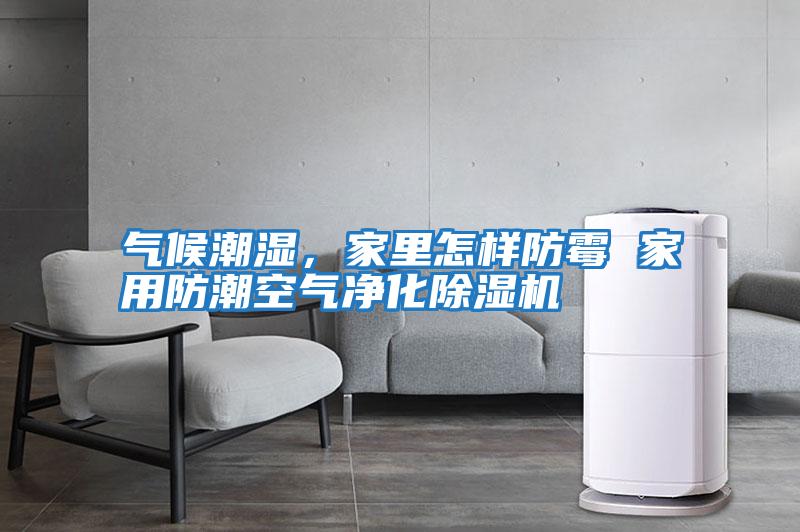 氣候潮濕，家里怎樣防霉 家用防潮空氣凈化除濕機(jī)