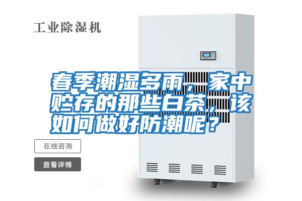 春季潮濕多雨，家中貯存的那些白茶，該如何做好防潮呢？