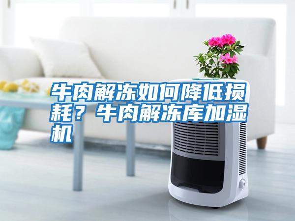 牛肉解凍如何降低損耗？牛肉解凍庫加濕機(jī)
