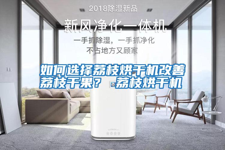 如何選擇荔枝烘干機(jī)改善荔枝干果？ 荔枝烘干機(jī)