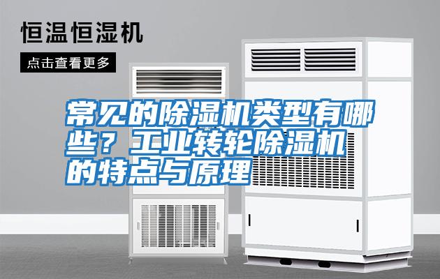 常見的除濕機類型有哪些？工業轉輪除濕機的特點與原理