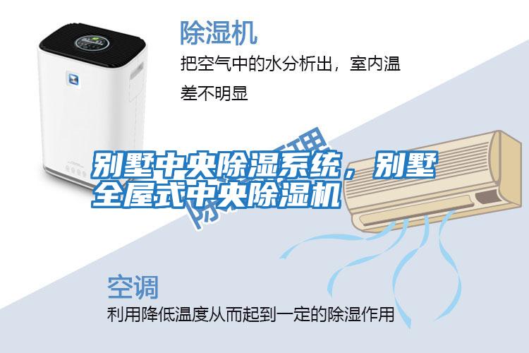 別墅中央除濕系統(tǒng)，別墅全屋式中央除濕機