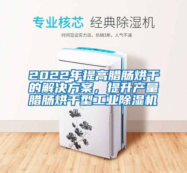 2022年提高臘腸烘干的解決方案，提升產(chǎn)量臘腸烘干型工業(yè)除濕機
