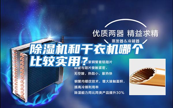 除濕機和干衣機哪個比較實用？