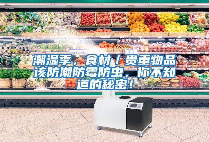 潮濕季，食材／貴重物品該防潮防霉防蟲，你不知道的秘密！