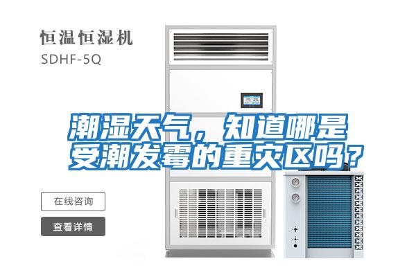 潮濕天氣，知道哪是受潮發(fā)霉的重災區(qū)嗎？
