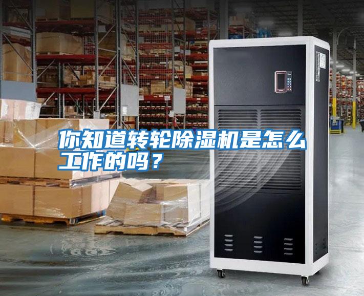 你知道轉(zhuǎn)輪除濕機是怎么工作的嗎？