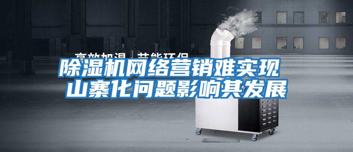 除濕機網(wǎng)絡(luò)營銷難實現(xiàn) 山寨化問題影響其發(fā)展