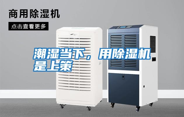 潮濕當(dāng)下，用除濕機是上策
