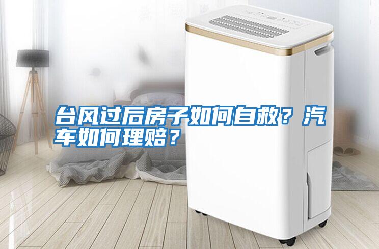 臺風過后房子如何自救？汽車如何理賠？