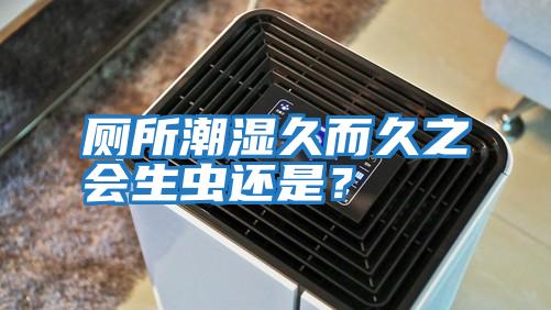 廁所潮濕久而久之會(huì)生蟲還是？