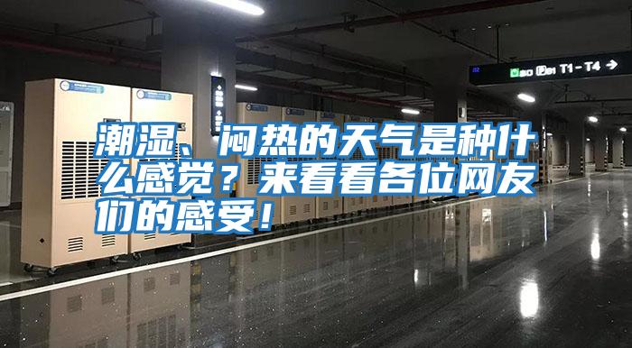 潮濕、悶熱的天氣是種什么感覺(jué)？來(lái)看看各位網(wǎng)友們的感受！