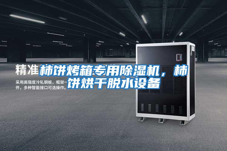 柿餅烤箱專(zhuān)用除濕機(jī)，柿餅烘干脫水設(shè)備
