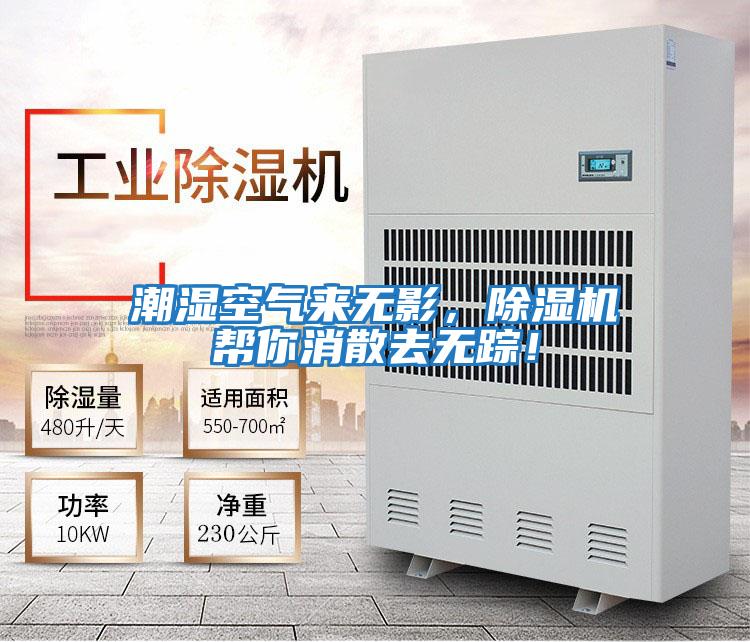 潮濕空氣來無影，除濕機幫你消散去無蹤！