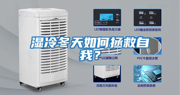 濕冷冬天如何拯救自我?