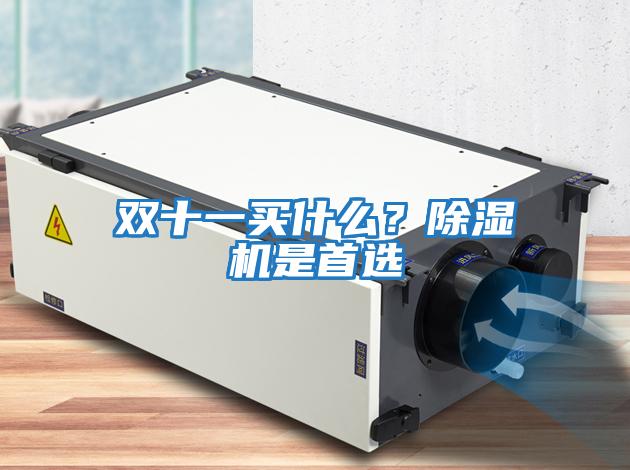 雙十一買什么？除濕機是首選