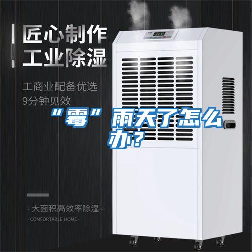 “霉”雨天了怎么辦？
