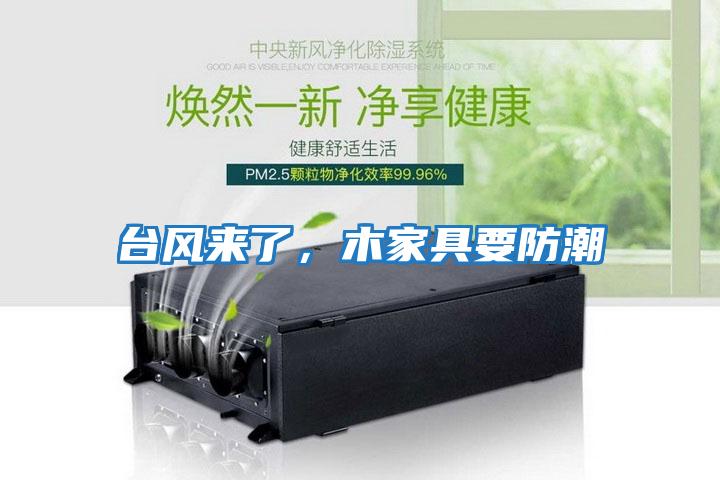 臺風來了，木家具要防潮