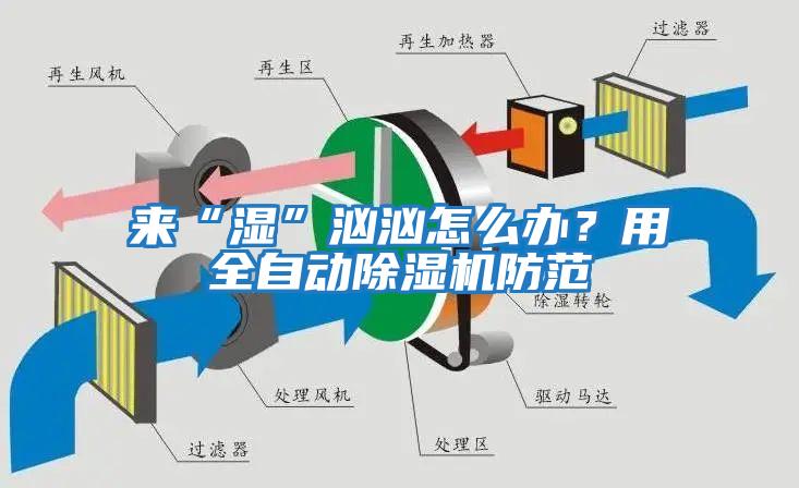 來“濕”洶洶怎么辦？用全自動除濕機(jī)防范