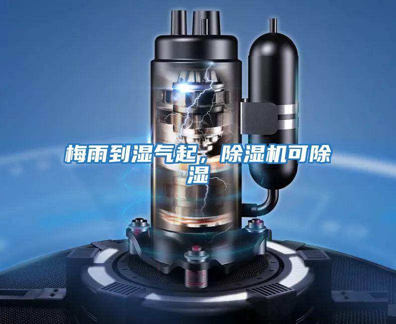 梅雨到濕氣起，除濕機可除濕
