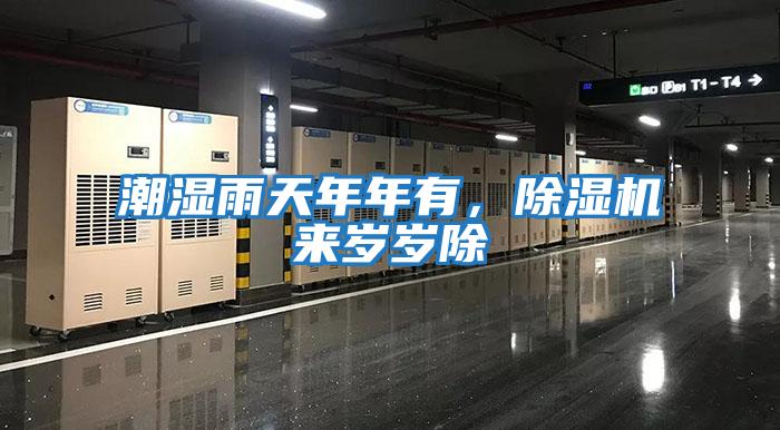 潮濕雨天年年有，除濕機(jī)來(lái)歲歲除