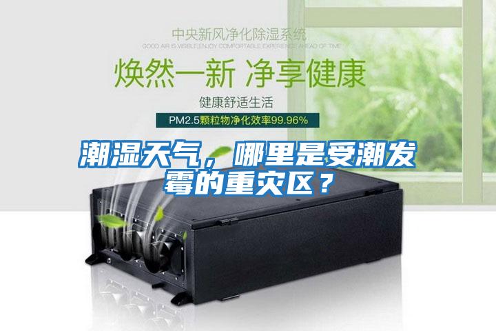 潮濕天氣，哪里是受潮發(fā)霉的重災(zāi)區(qū)？