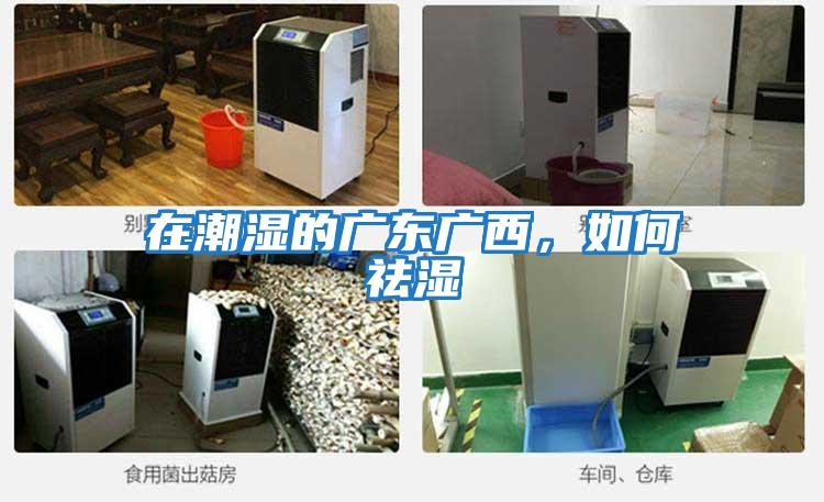 在潮濕的廣東廣西，如何祛濕