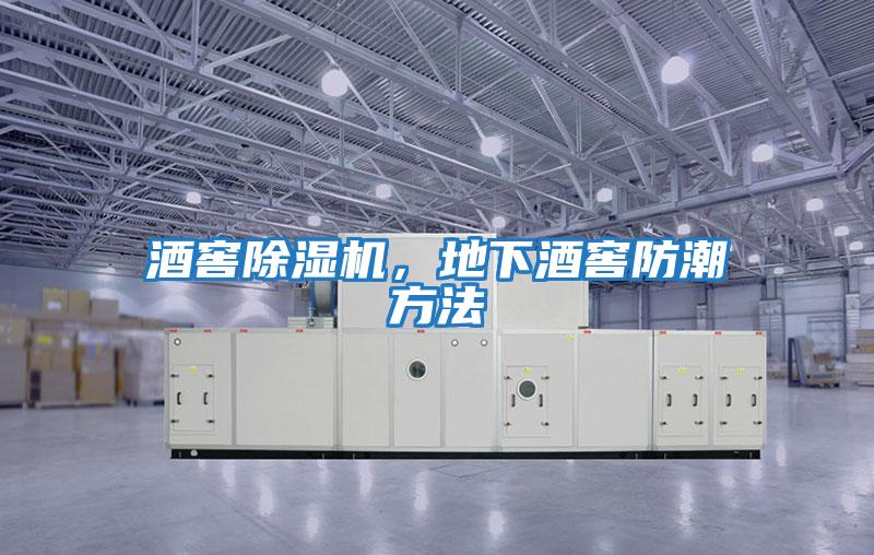 酒窖除濕機(jī),地下酒窖防潮方法