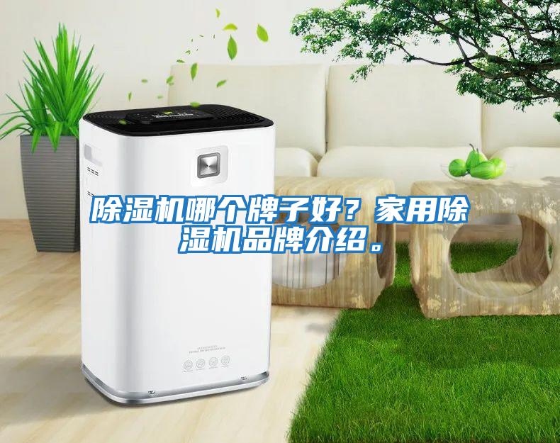 除濕機(jī)哪個牌子好？家用除濕機(jī)品牌介紹。